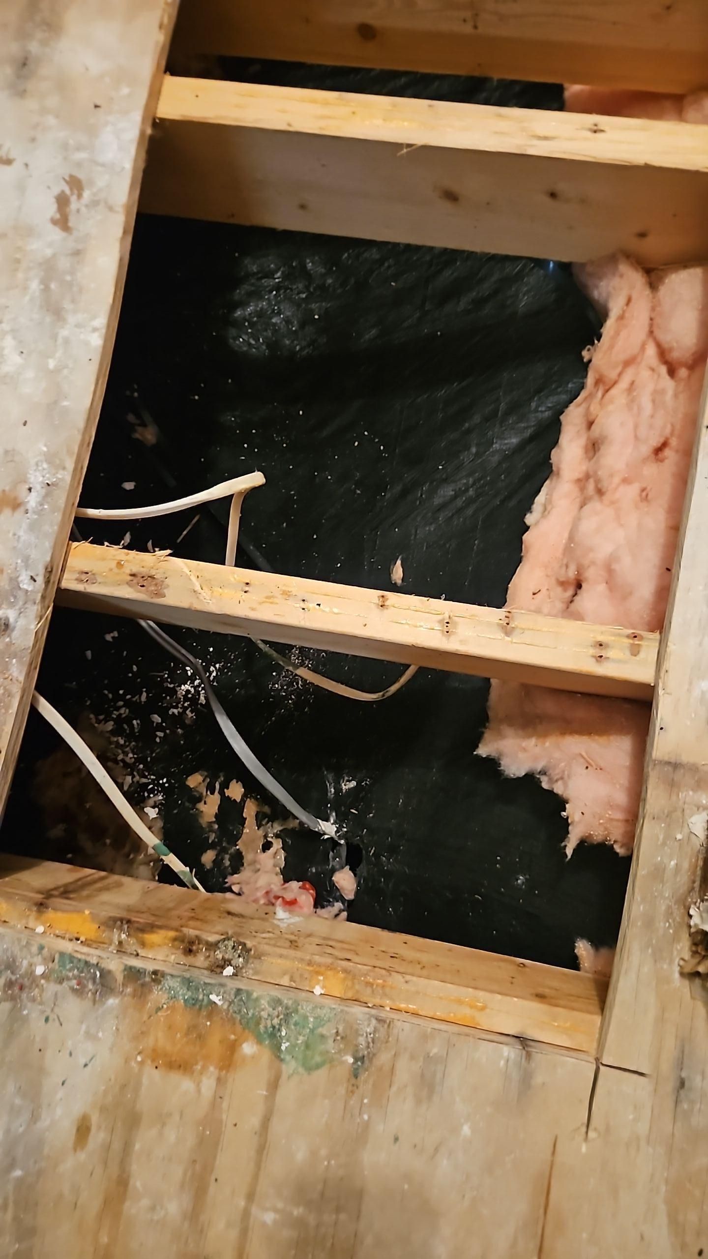 Insulation and mold damage removal
