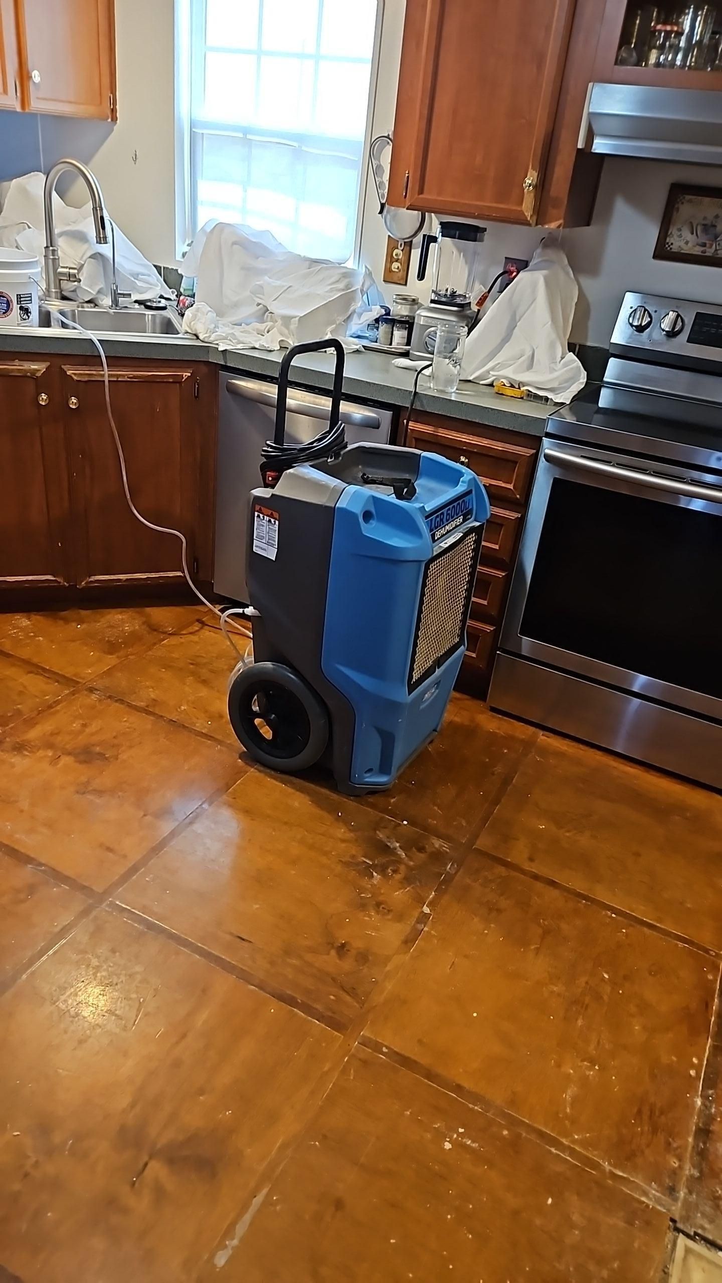 Kitchen water and mold damage close-up