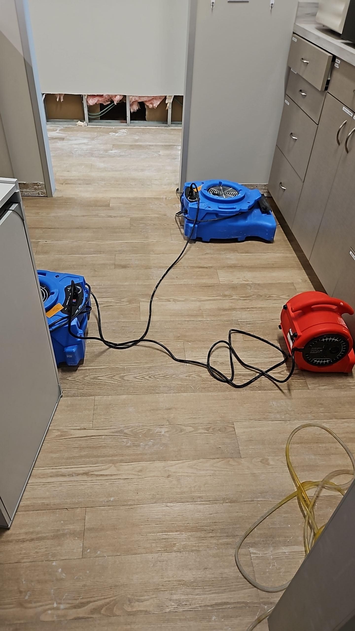 Professional water damage mitigation