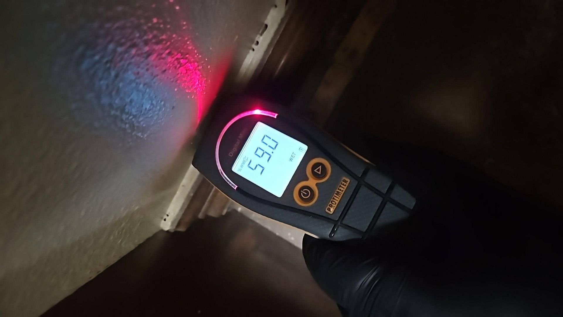 Mold detector