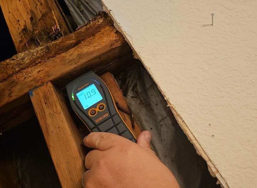 moisture meter-during