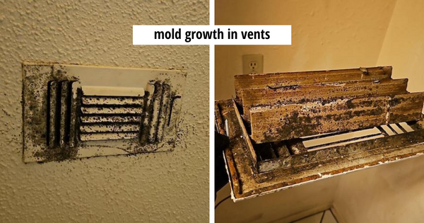mold remediation is in process in Austin