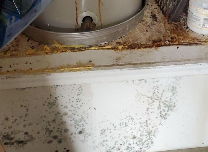 mold on the drywall in the garage