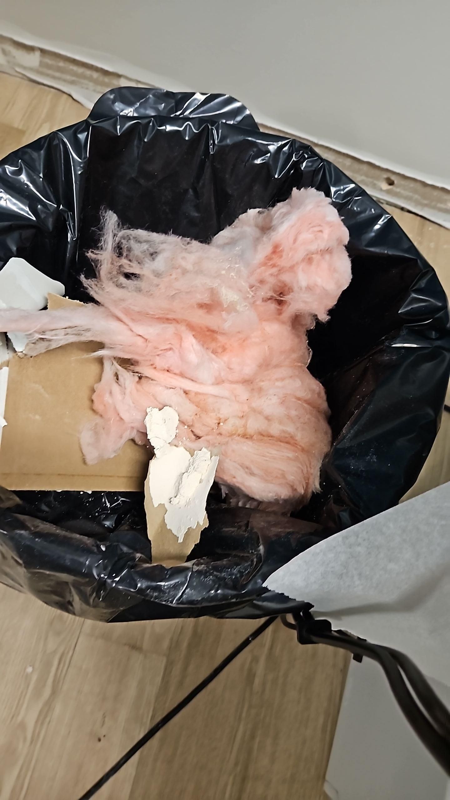 Removing water damaged materials