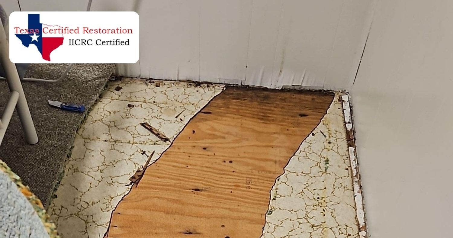 Roof Leak