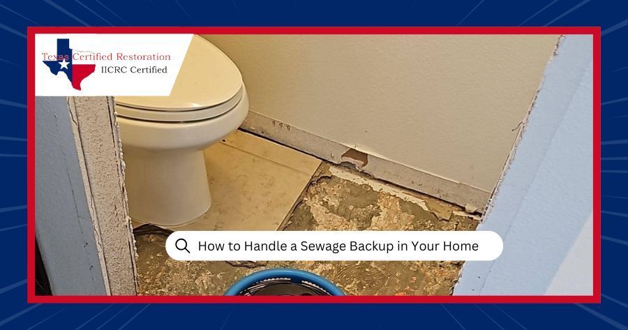Sewage Backups