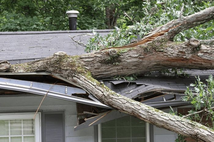 Storm Damage Restoration Austin TX