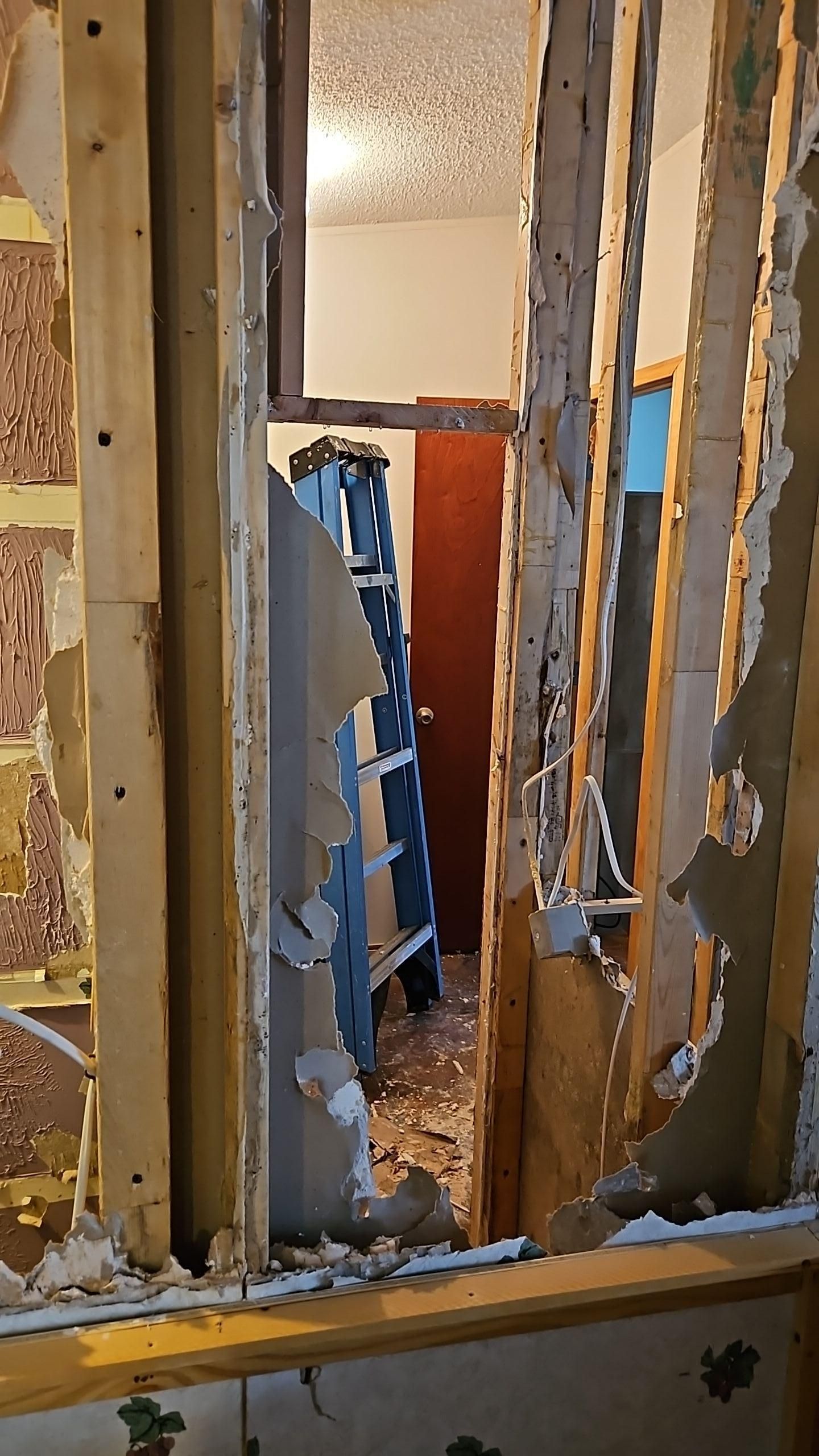 Water and mold damage in Hutto kitchen