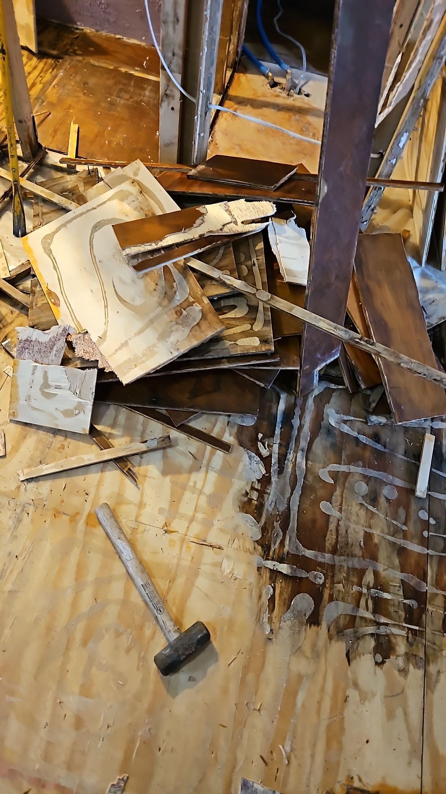Demolition process for water and mold damage