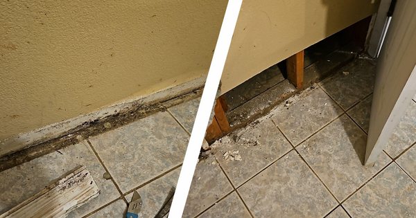 Water And Mold Issues case study In A Cameron, TX Home