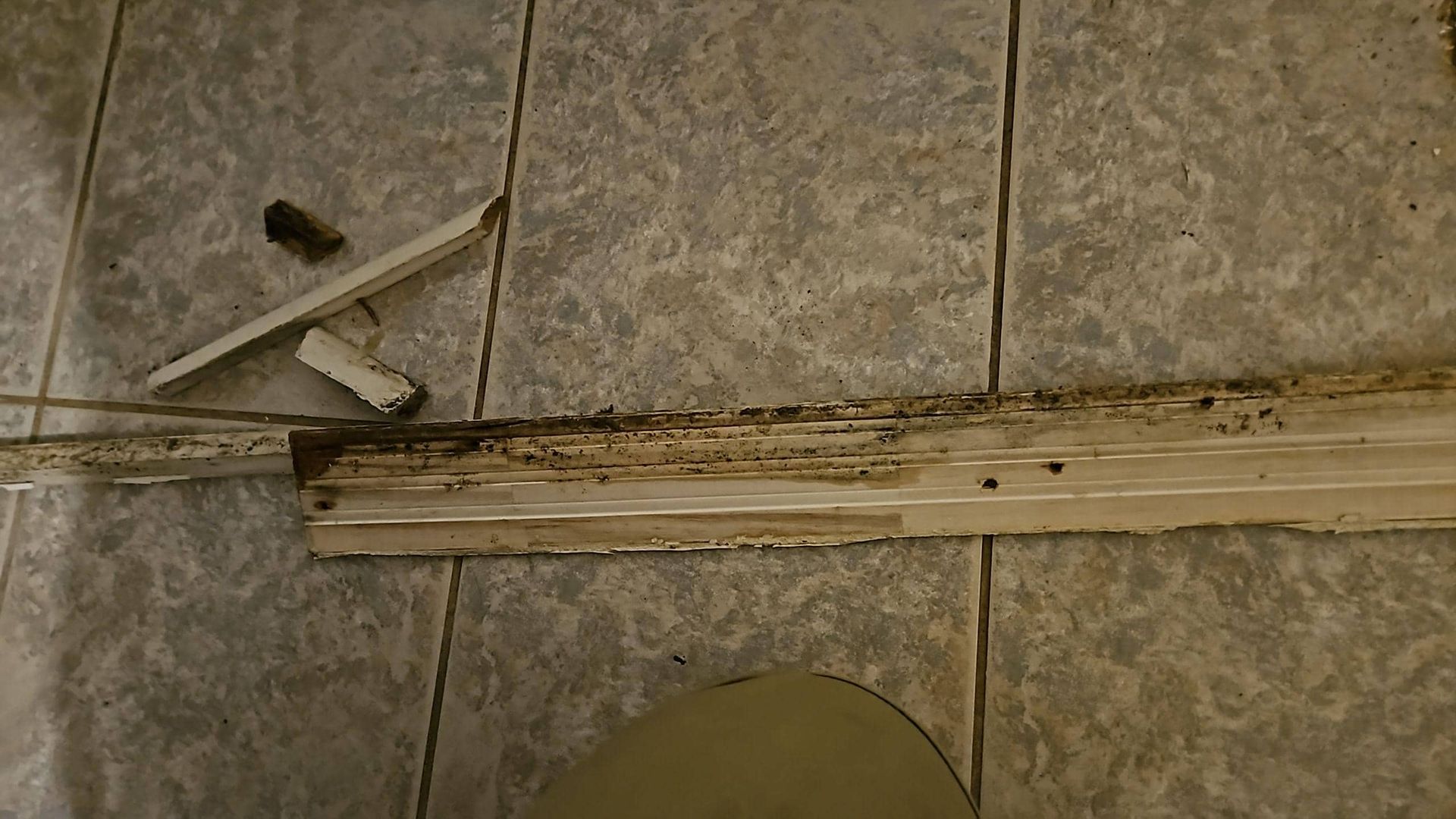 water damaged baseboards