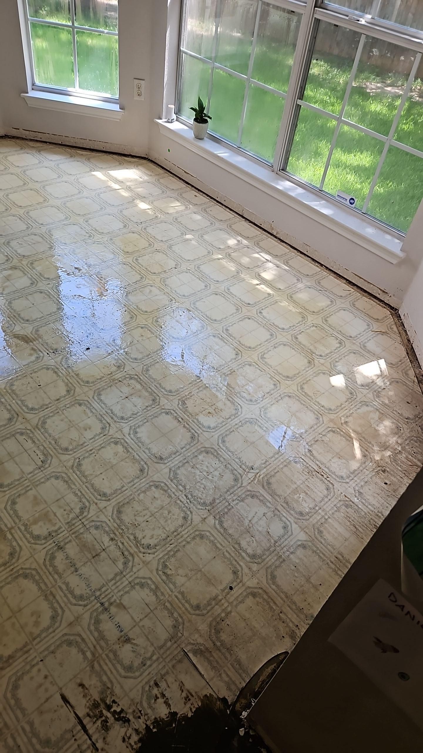 Water damage spreading from behind refrigerator