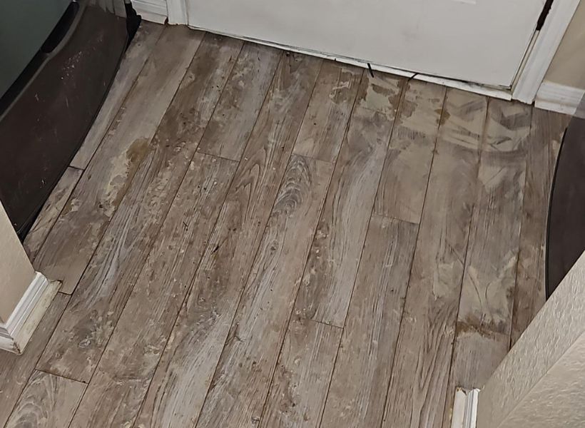 water damage mitigation