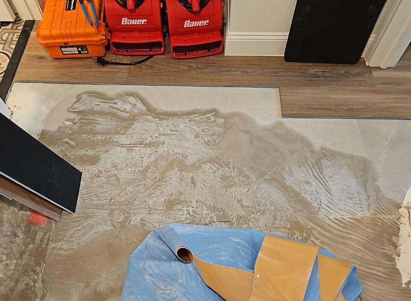 water damage mitigation