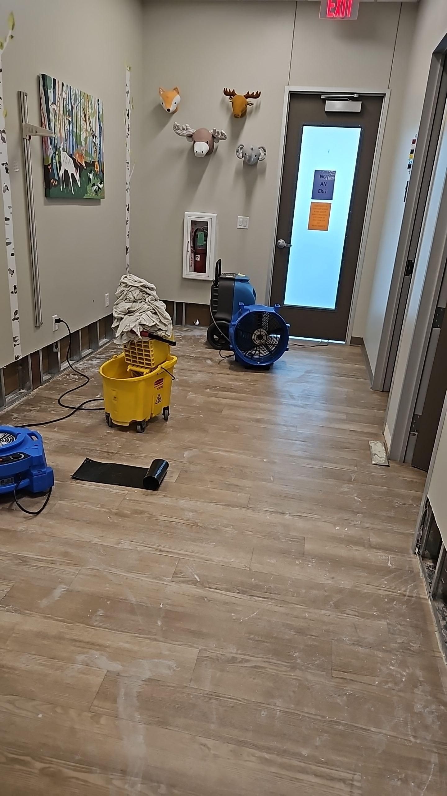 Water damage mitigation in progress