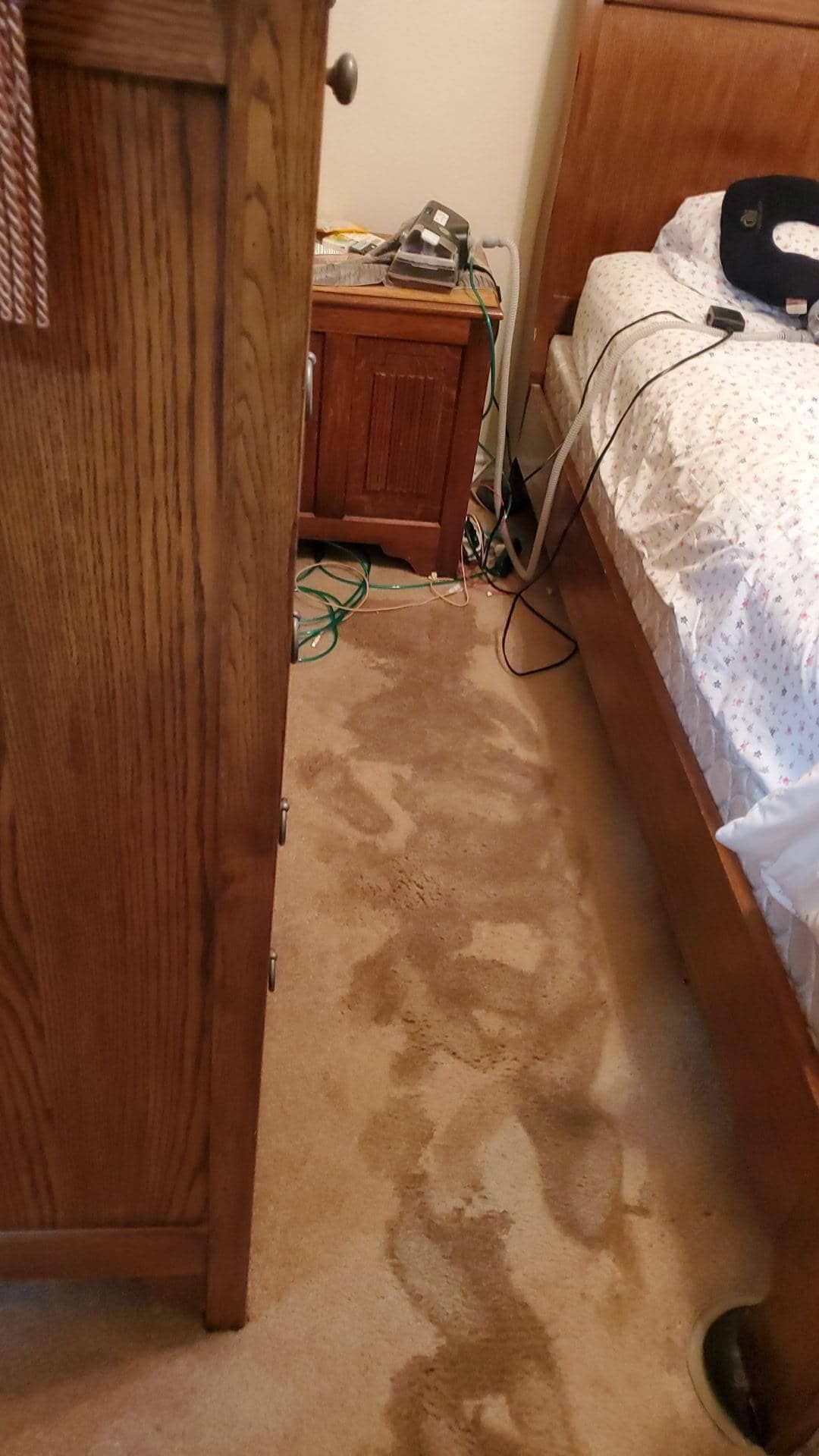 water damaged carpet