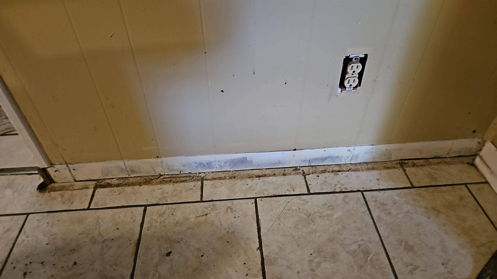 water mitigation in a cameron, tx home