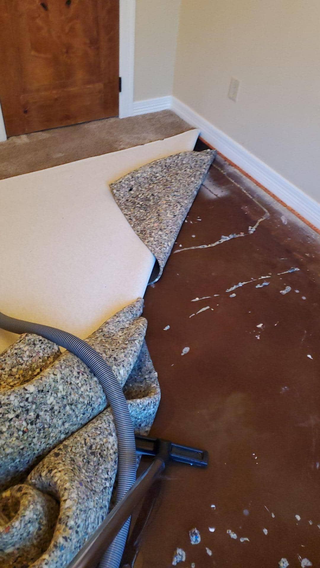 water under carpet in a Groesbeck home