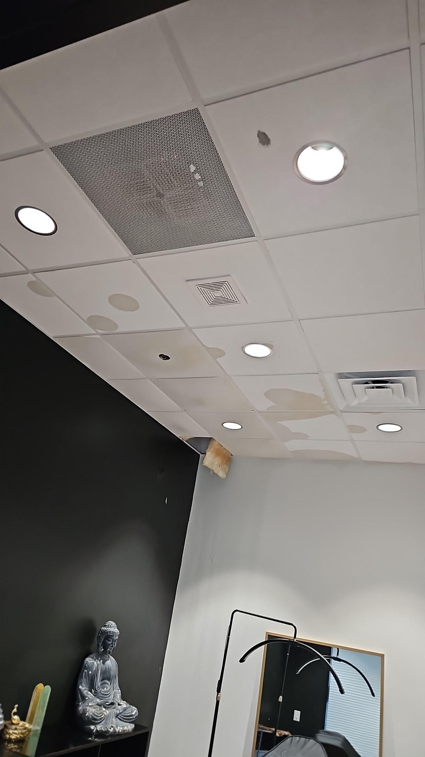 Water damaged ceiling systems