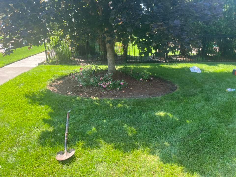 A shovel is sitting in the middle of a lush green lawn.
