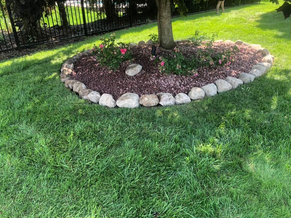 A tree in the middle of a lush green lawn with rocks around it.