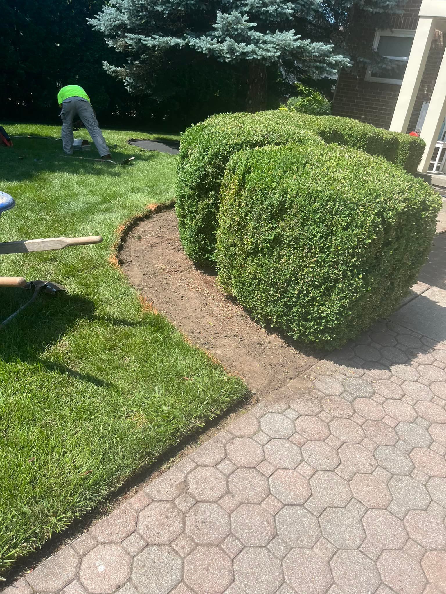 A man is cutting a bush in a yard next to a brick walkway.