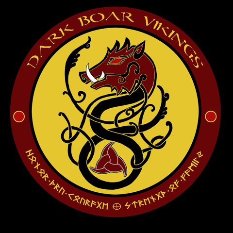 Dark Boar Vikings emblem: red boar head, gold circle, black Norse knot, red text, runes.