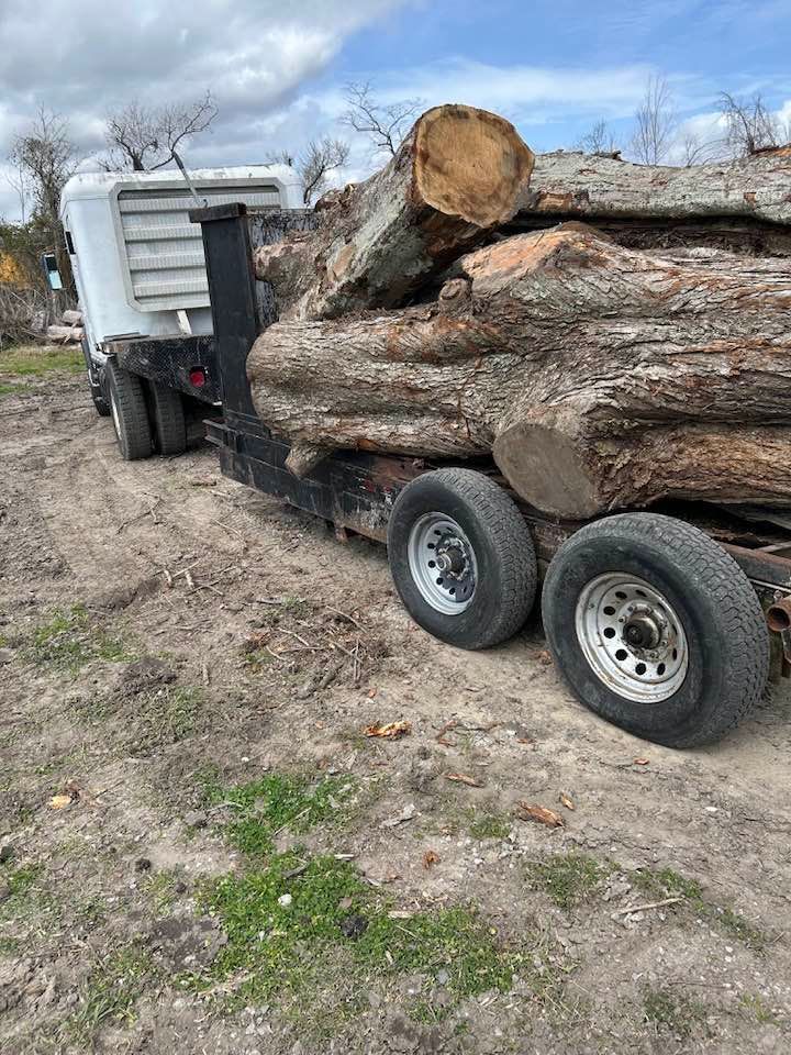 A truck is carrying logs on a trailer in a dirt field.