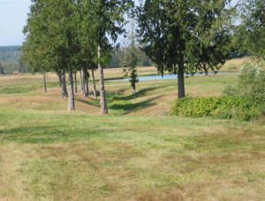 Conway Kennels Facility and Acreage for Dog Training