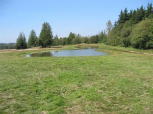 Conway Kennels Facility and Ponds for Dog Training in the Water