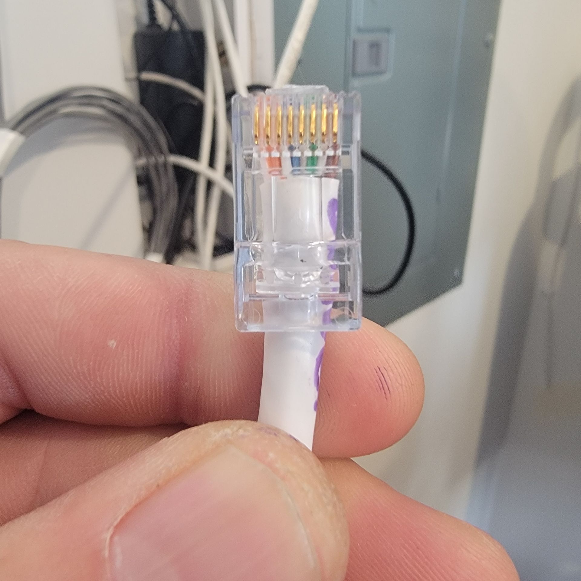 Close-up of a hand holding a white Ethernet cable with a clear RJ45 connector, showing the colored wires.