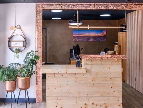 A wooden counter in a room with potted plants