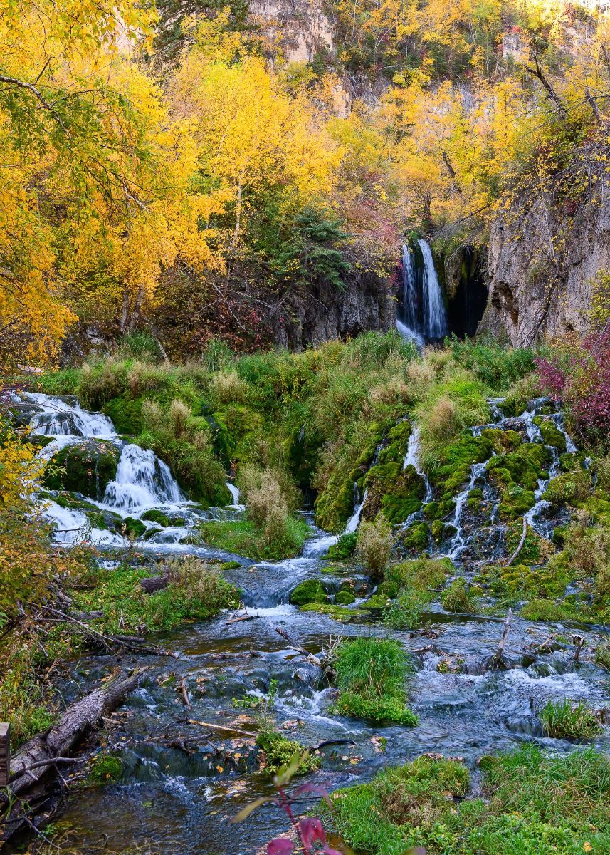 A waterfall is surrounded by trees and grass in the middle of a forest.