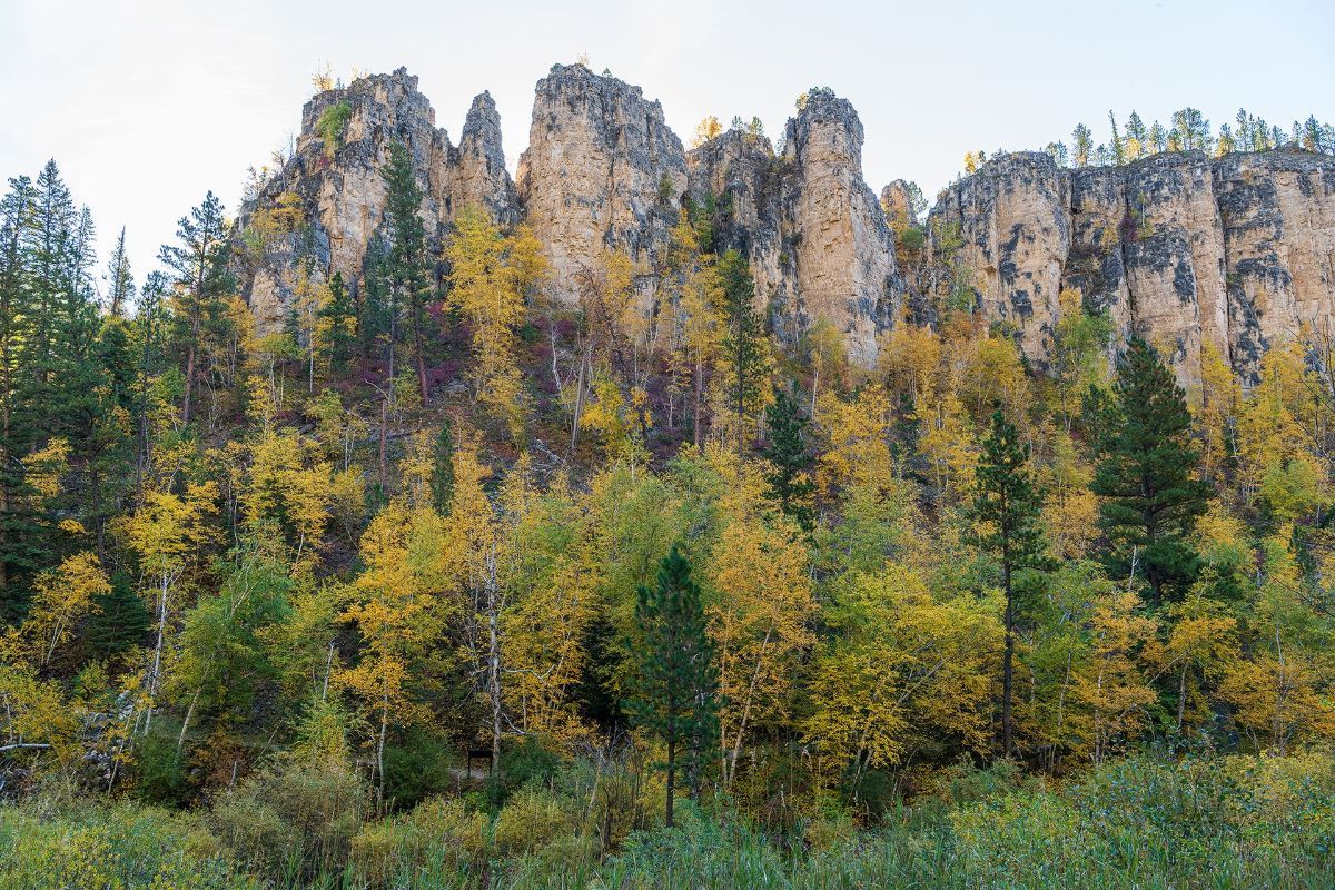 A mountain covered in trees with a cliff in the background.
