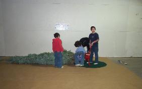 tree set up