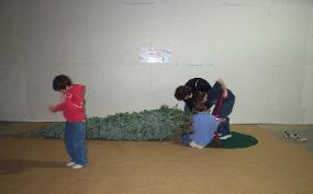 tree set up