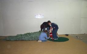 tree set up