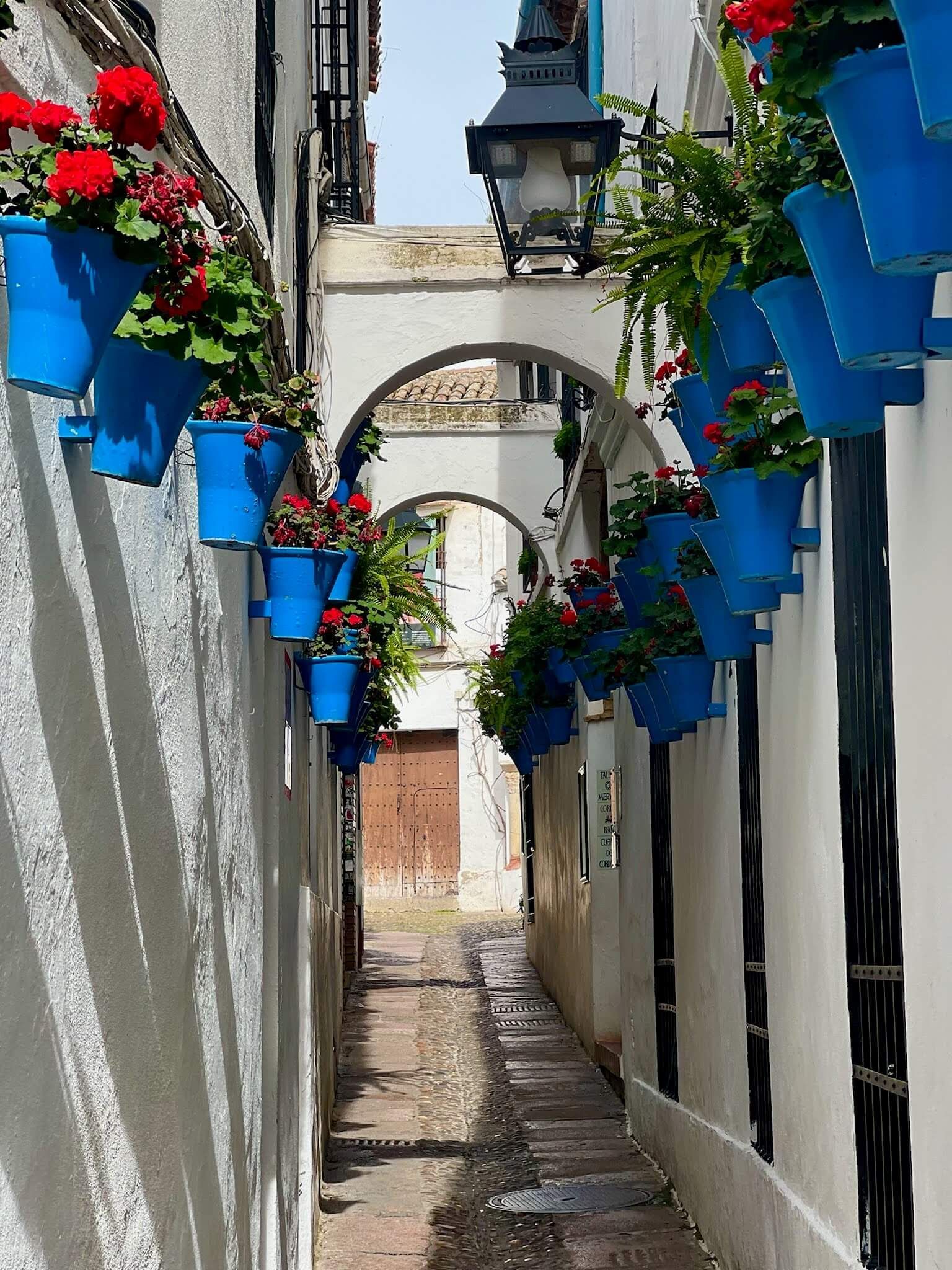 White alley with blue pots hanging with flowers