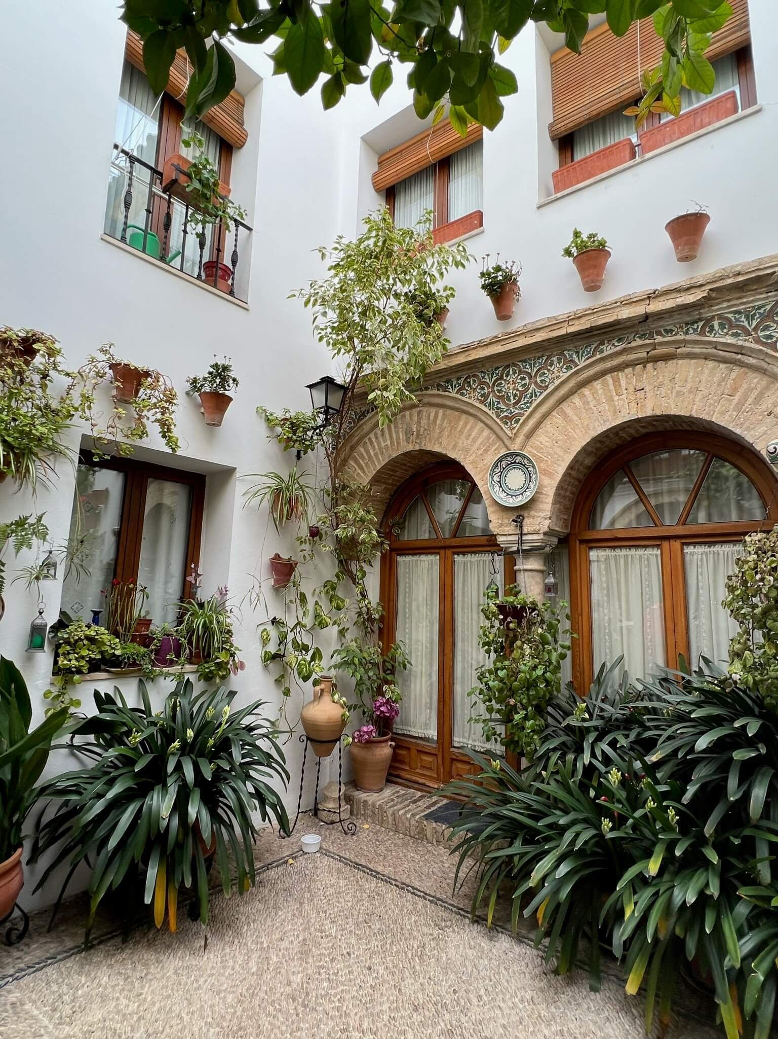 White wall with lots of plants on it