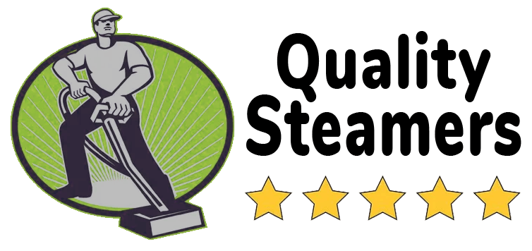 About, Steam Cleaner, Cleaning Services Miami