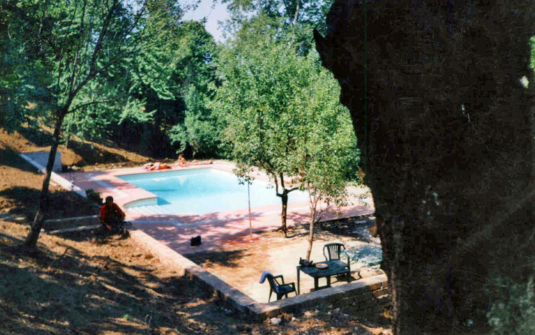piscina tra gli alberi