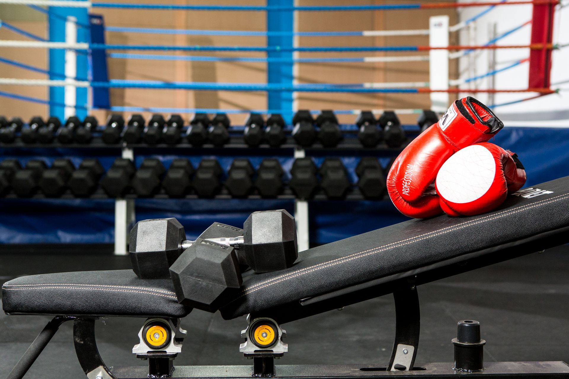 Weight bench with dumbbells and boxing gloves in a gym; rows of weights and boxing ring in the background.