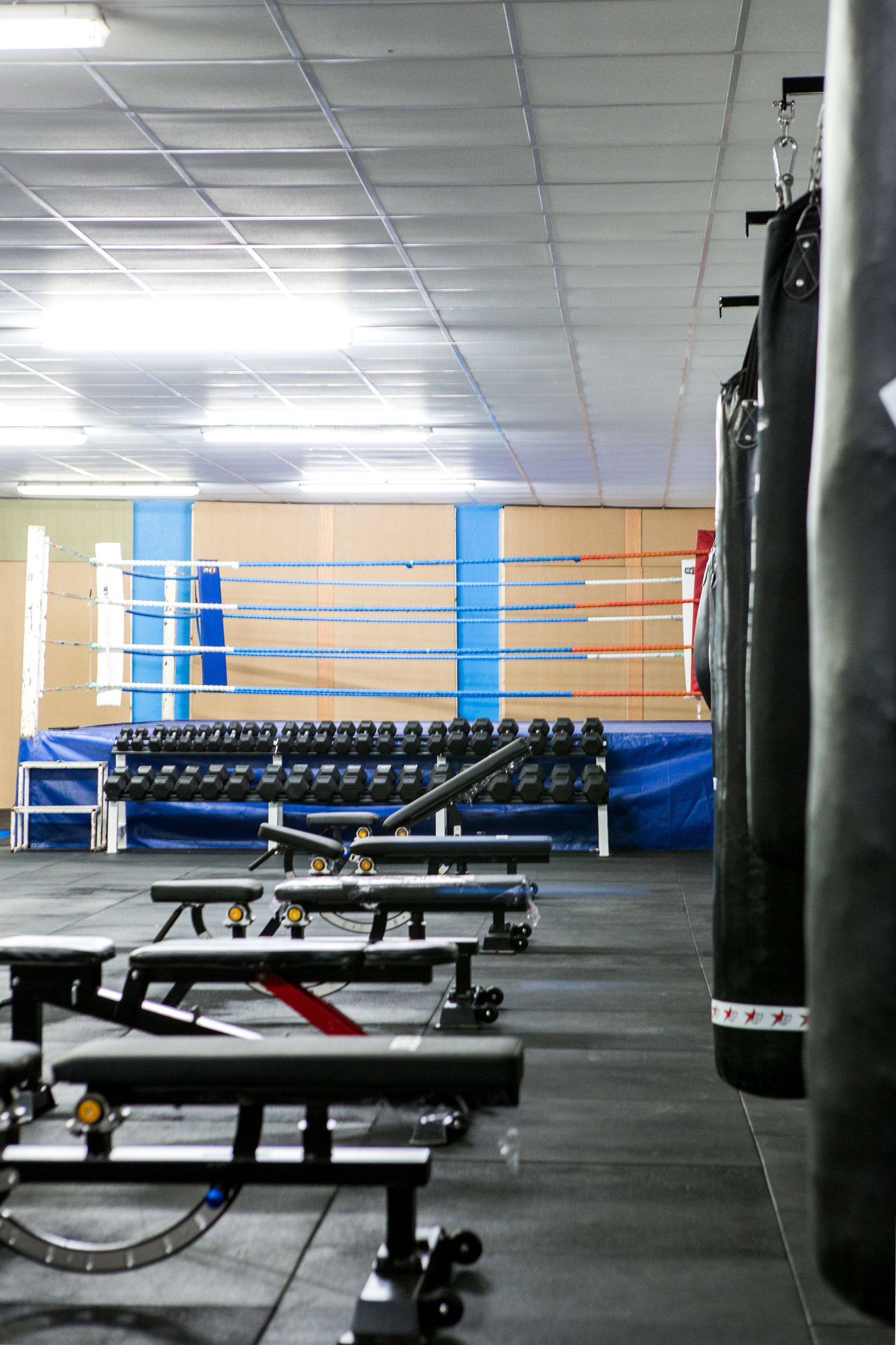 Boxing gym interior with weights, benches, heavy bags, and a boxing ring.