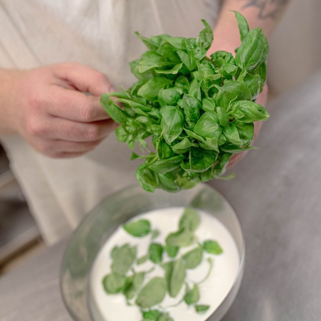 Persona che tiene in mano un mazzo di foglie fresche di basilico verde e le aggiunge a una ciotola con del liquido bianco.