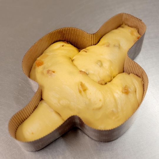 Colomba cruda in uno stampo di carta, pasta gialla con frutta candita.