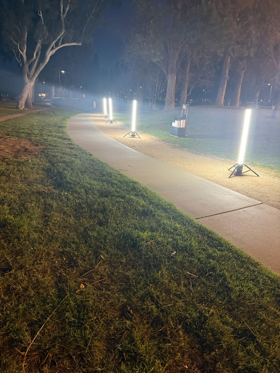 A paved pathway curves through a grassy park at night, illuminated by vertical light poles.
