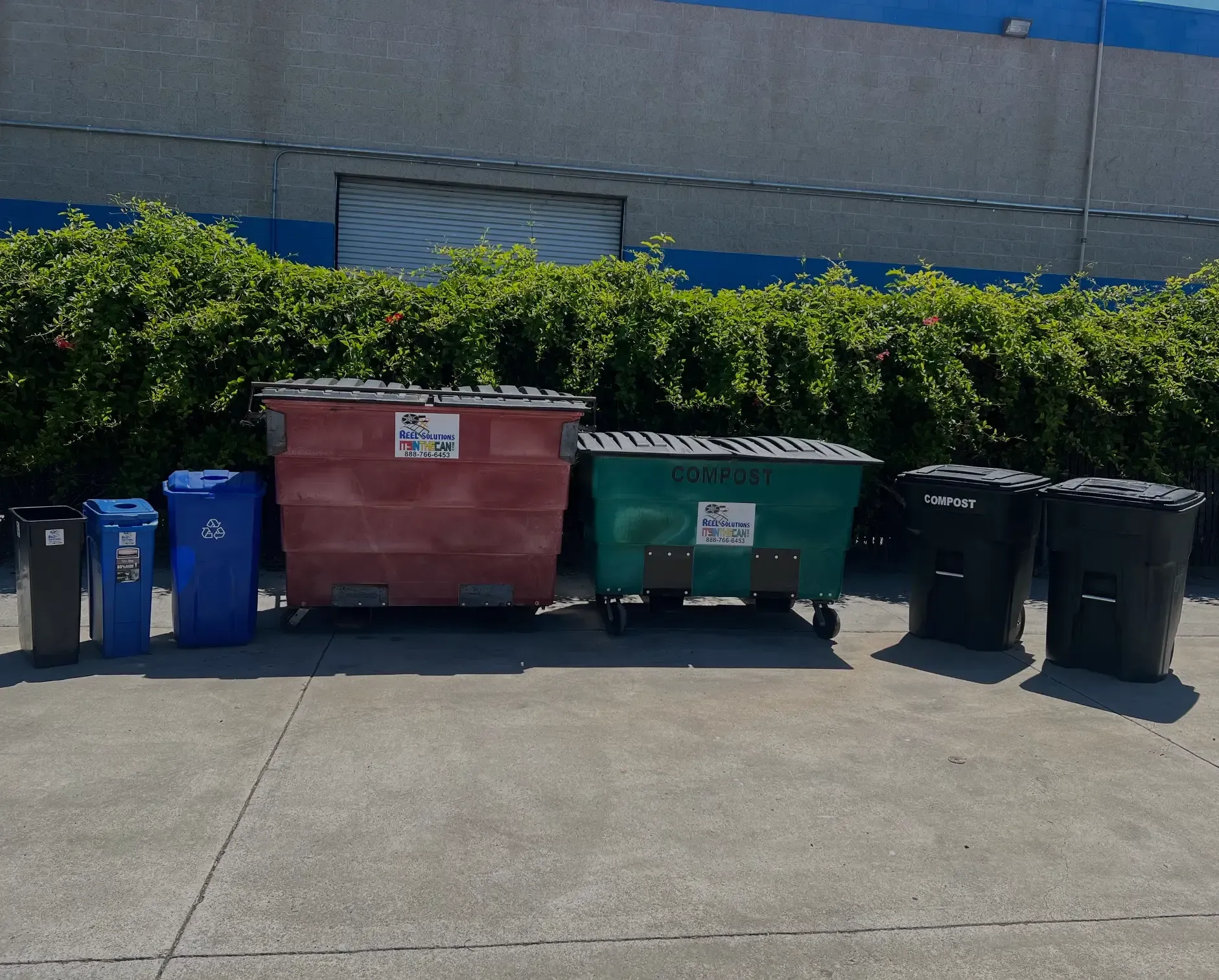 Row of trash and recycling bins in front of a building and bushes, various colors.