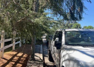 White truck parked next to a white fence and sidewalk under a tree on a sunny day.