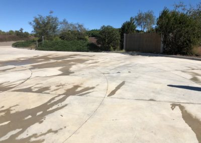 Concrete surface with wet patches, leading to a path flanked by trees and a wooden fence on a sunny day.