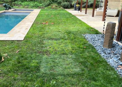 Lush green lawn alongside a swimming pool, bordered by a stone patio and gravel bed.